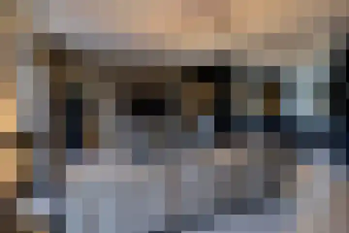 Bertus Aafjesstraat 29 Swolgen thumbnail 11