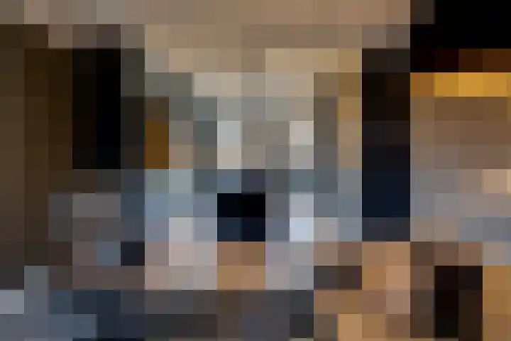 Bertus Aafjesstraat 29 Swolgen thumbnail 13