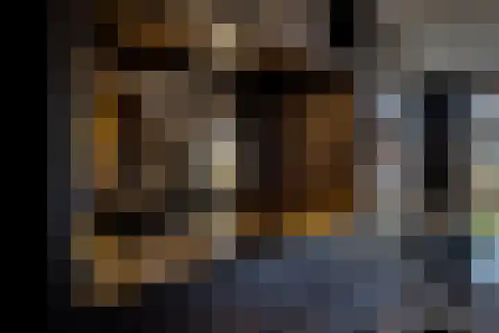 Bertus Aafjesstraat 29 Swolgen thumbnail 14
