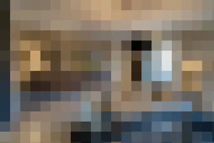 Bertus Aafjesstraat 29 Swolgen thumbnail 15