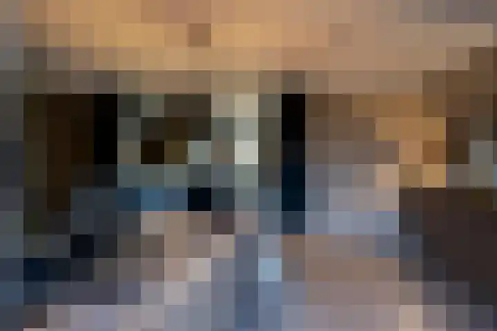 Bertus Aafjesstraat 29 Swolgen thumbnail 21
