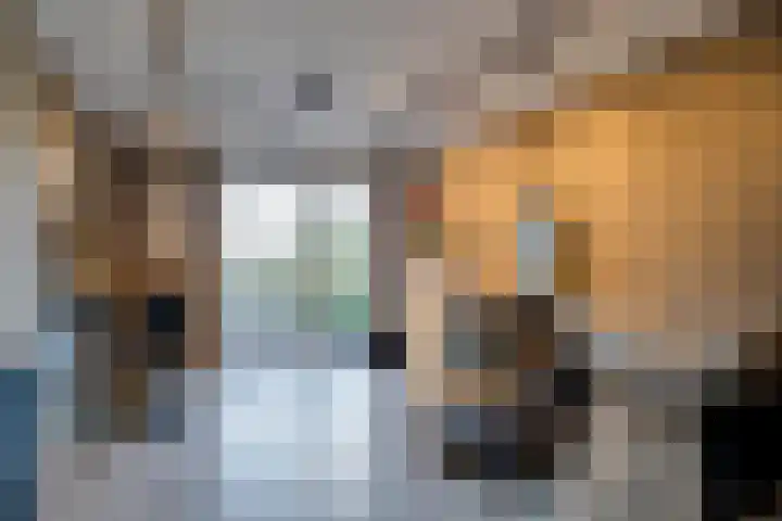Bertus Aafjesstraat 29 Swolgen thumbnail 25