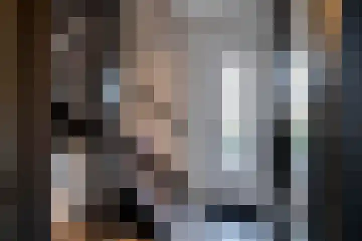 Bertus Aafjesstraat 29 Swolgen thumbnail 27