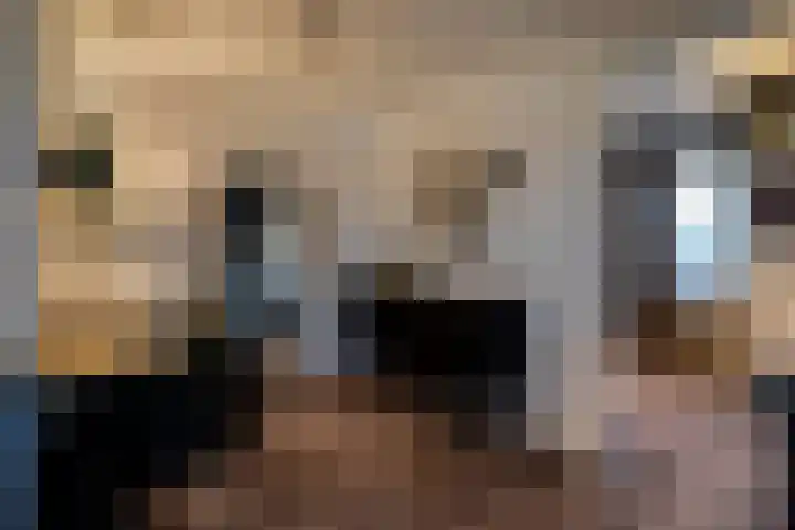 Bertus Aafjesstraat 29 Swolgen thumbnail 30