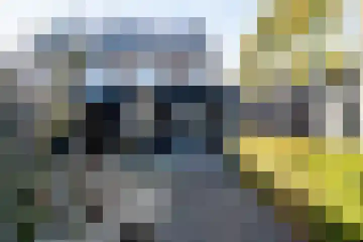 Bertus Aafjesstraat 29 Swolgen thumbnail 39