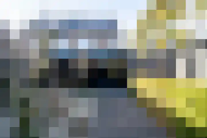 Bertus Aafjesstraat 29 Swolgen thumbnail 40