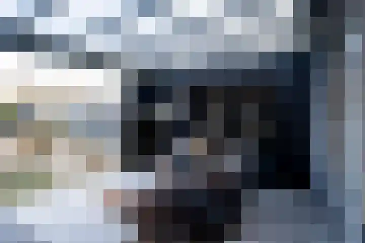 Bertus Aafjesstraat 29 Swolgen thumbnail 41