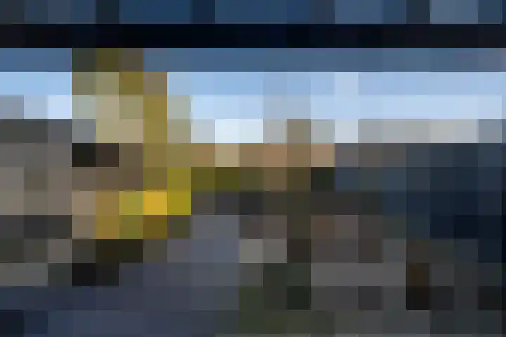 Bertus Aafjesstraat 29 Swolgen thumbnail 42