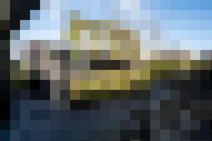 Bertus Aafjesstraat 29 Swolgen thumbnail 44