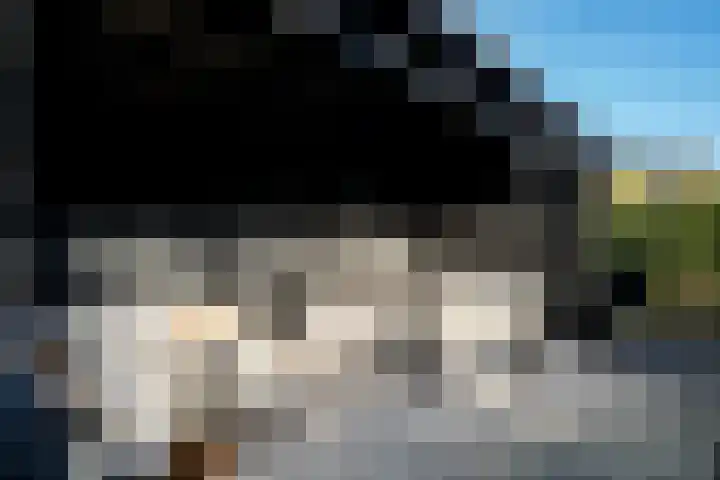 Bertus Aafjesstraat 29 Swolgen thumbnail 45