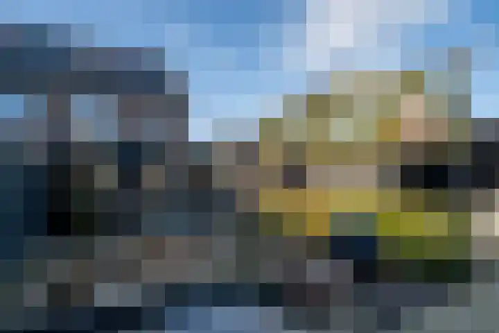 Bertus Aafjesstraat 29 Swolgen thumbnail 46