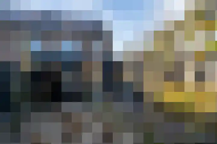 Bertus Aafjesstraat 29 Swolgen thumbnail 47