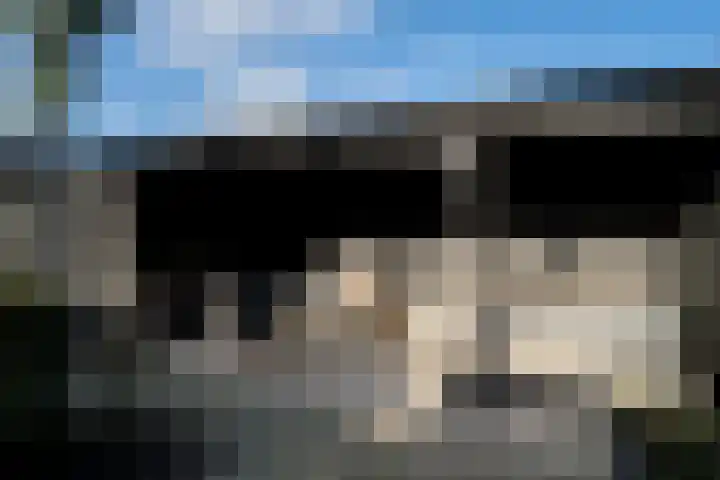 Bertus Aafjesstraat 29 Swolgen thumbnail 49