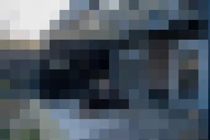 Bertus Aafjesstraat 29 Swolgen thumbnail 51