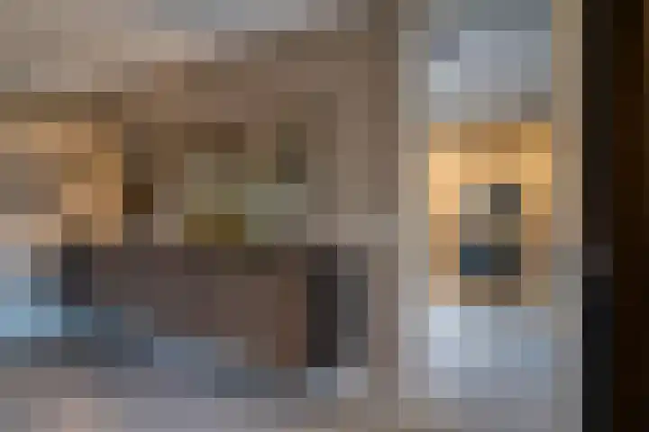 Bertus Aafjesstraat 29 Swolgen thumbnail 52