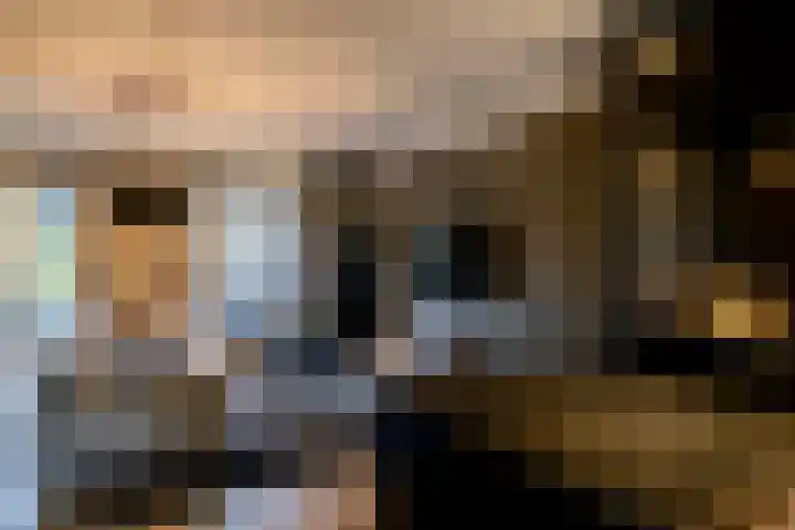 Bertus Aafjesstraat 29 Swolgen thumbnail 8