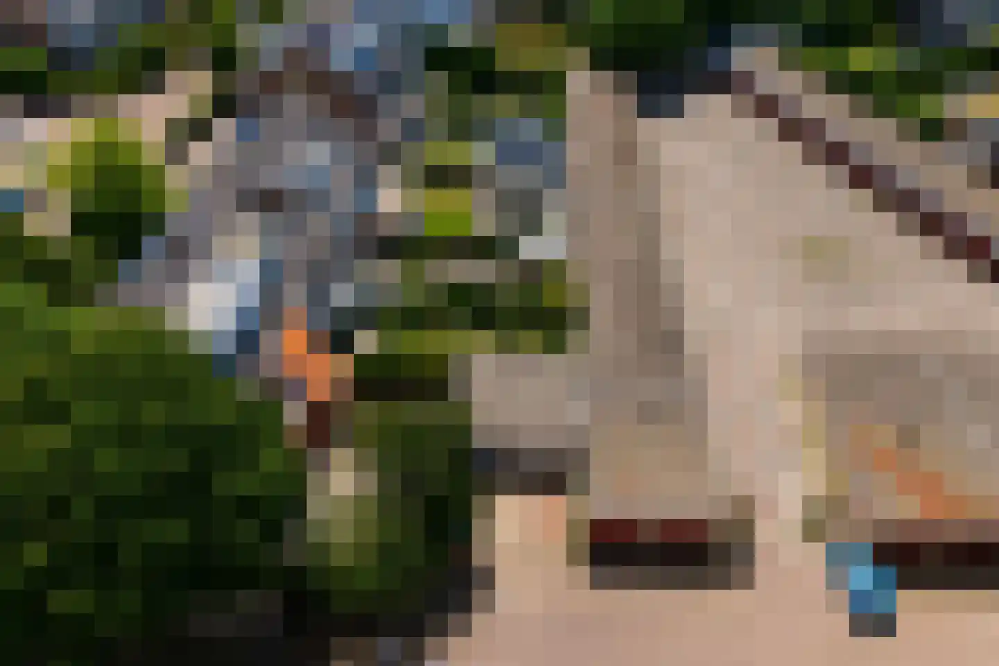 Bertus Rimaweg 18 Den Haag thumbnail 45