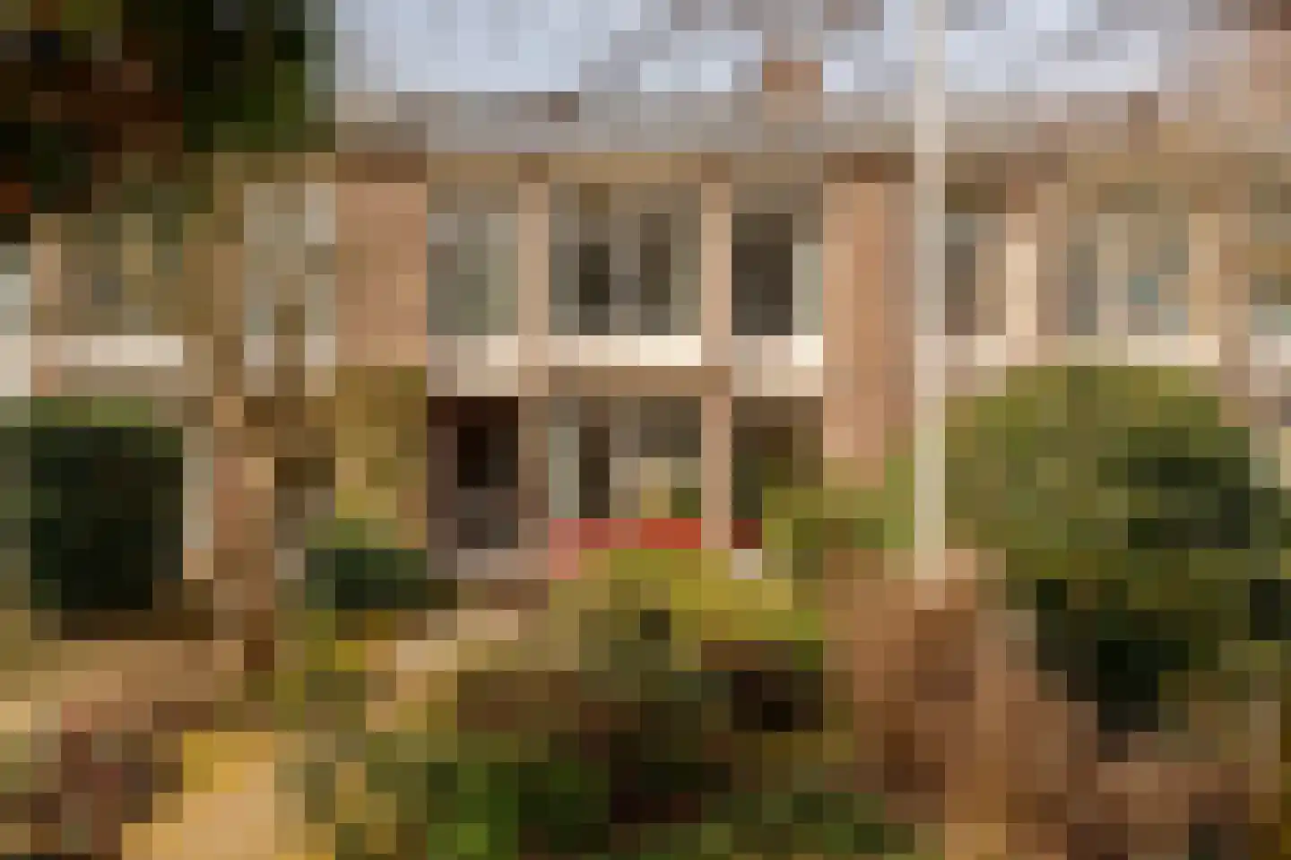Bertus Rimaweg 18 Den Haag thumbnail 51