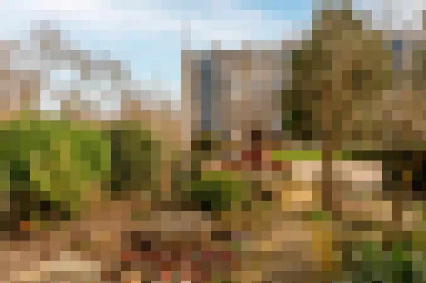 Bertus Rimaweg 18 Den Haag thumbnail 52