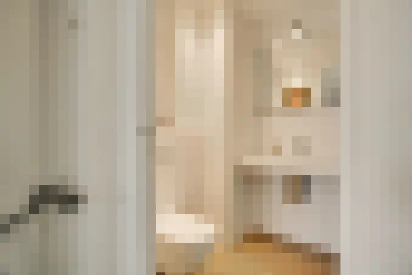Bertus Rimaweg 7 Den Haag thumbnail 12