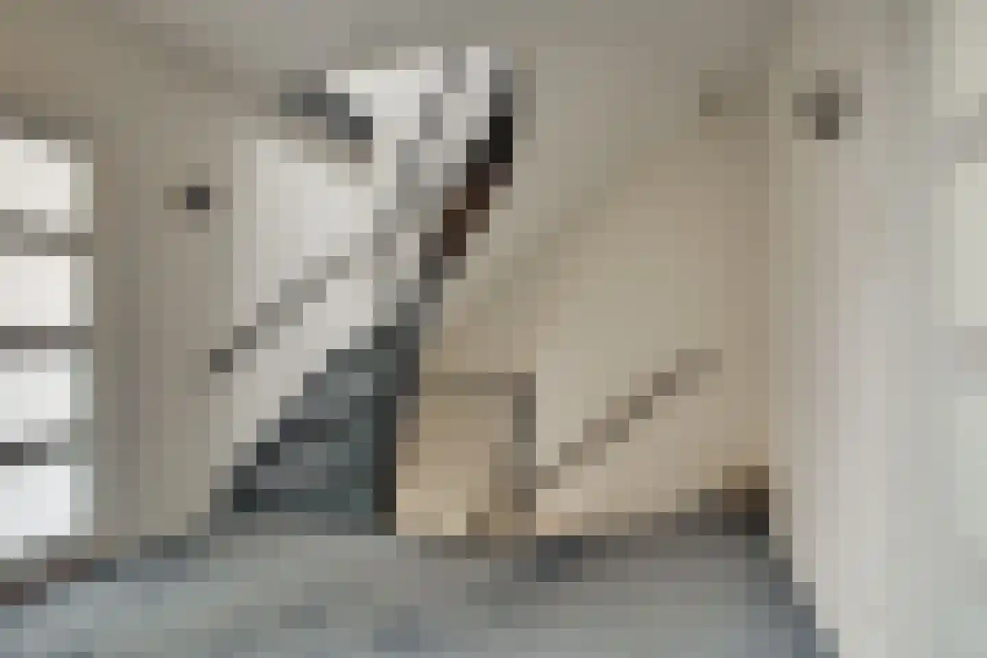 Bertus Rimaweg 7 Den Haag thumbnail 35