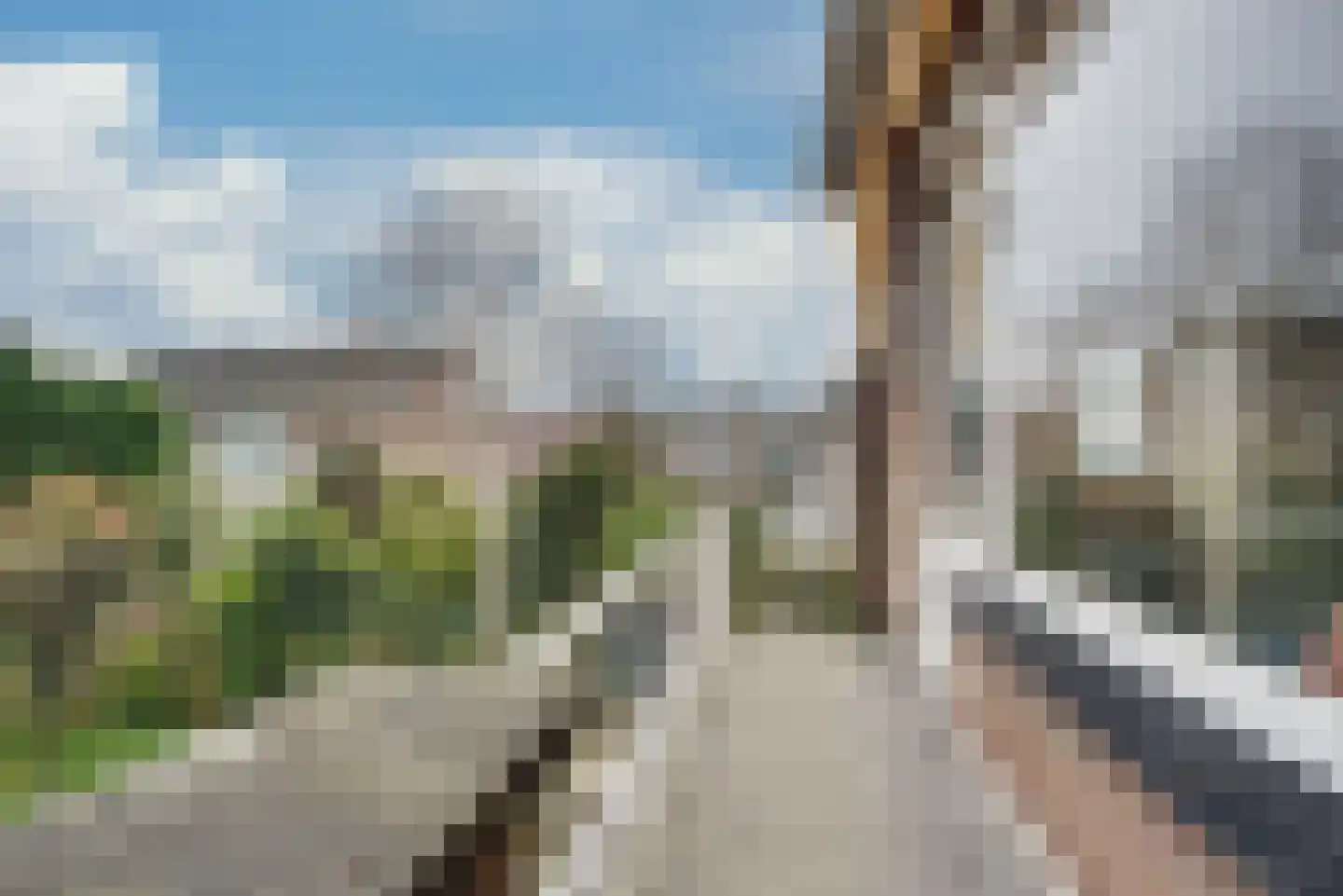 Bertus Rimaweg 7 Den Haag thumbnail 40
