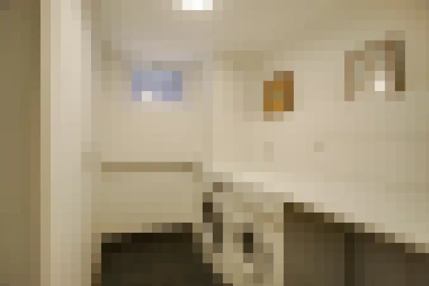 Bertus Rimaweg 7 Den Haag thumbnail 65