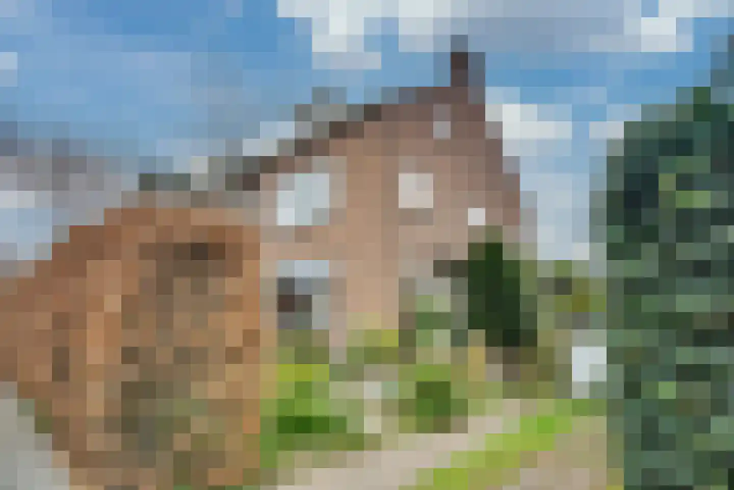 Bertus Rimaweg 7 Den Haag thumbnail 68