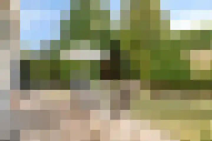 Bertus van Akenlaan 117 Voorschoten thumbnail 35
