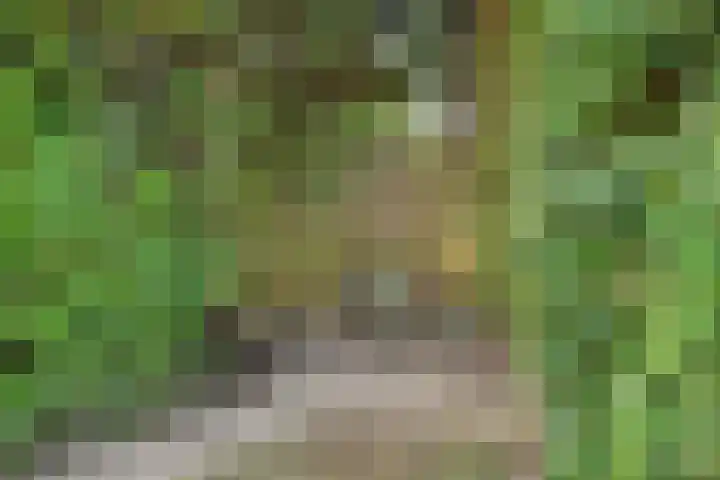 Bertus van Akenlaan 117 Voorschoten thumbnail 38