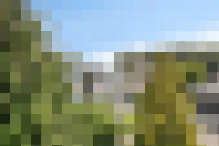 Bertus van Akenlaan 117 Voorschoten thumbnail 39