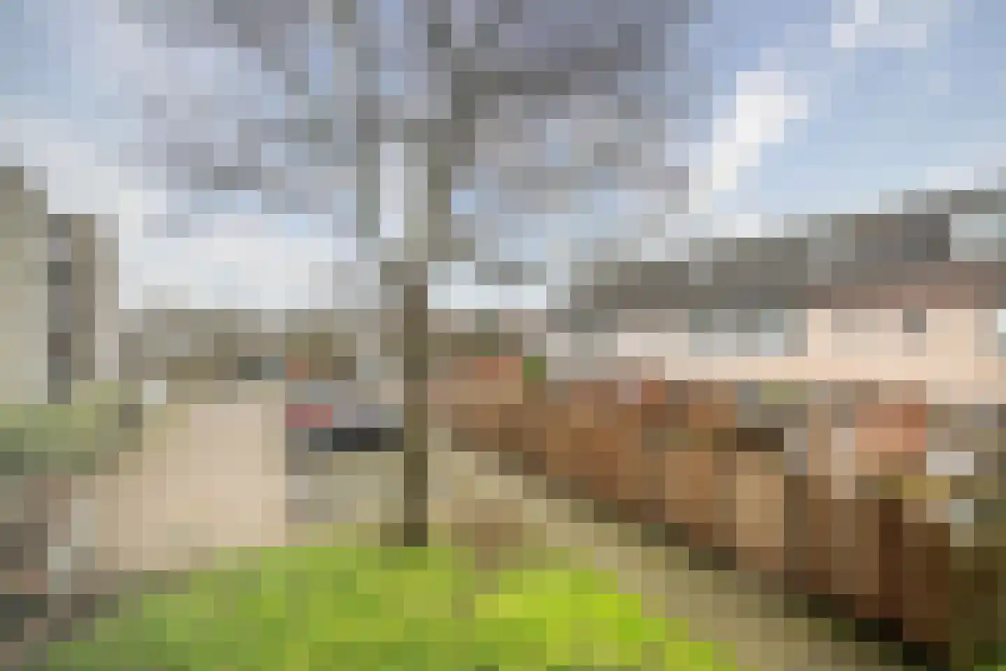 Bertus van Akenlaan 25 Voorschoten thumbnail 19
