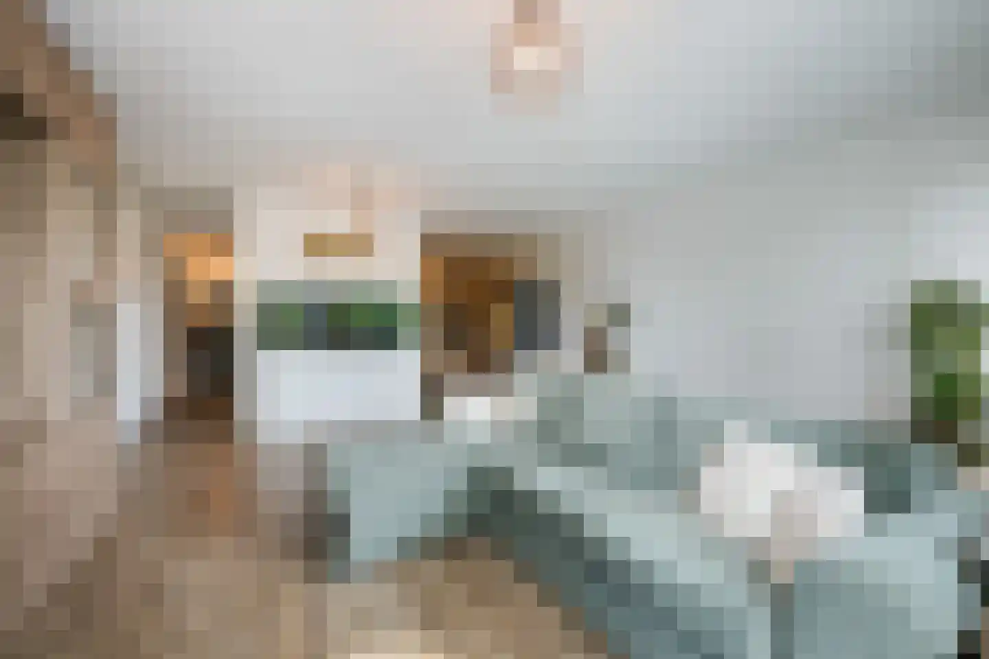 Bertus van Akenlaan 9 Voorschoten thumbnail 14