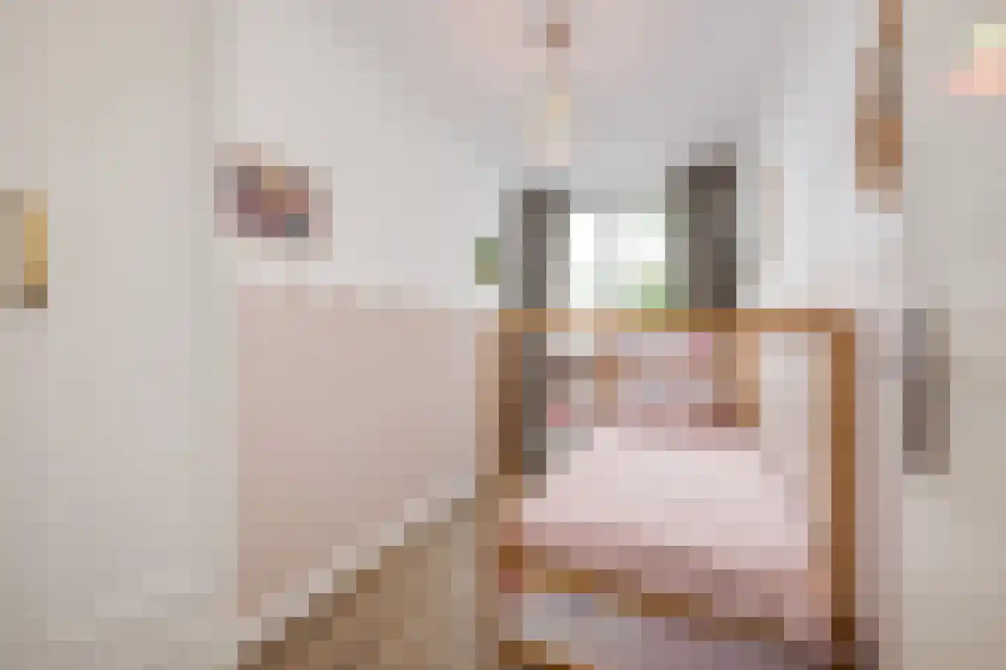 Bertus van Akenlaan 9 Voorschoten thumbnail 21
