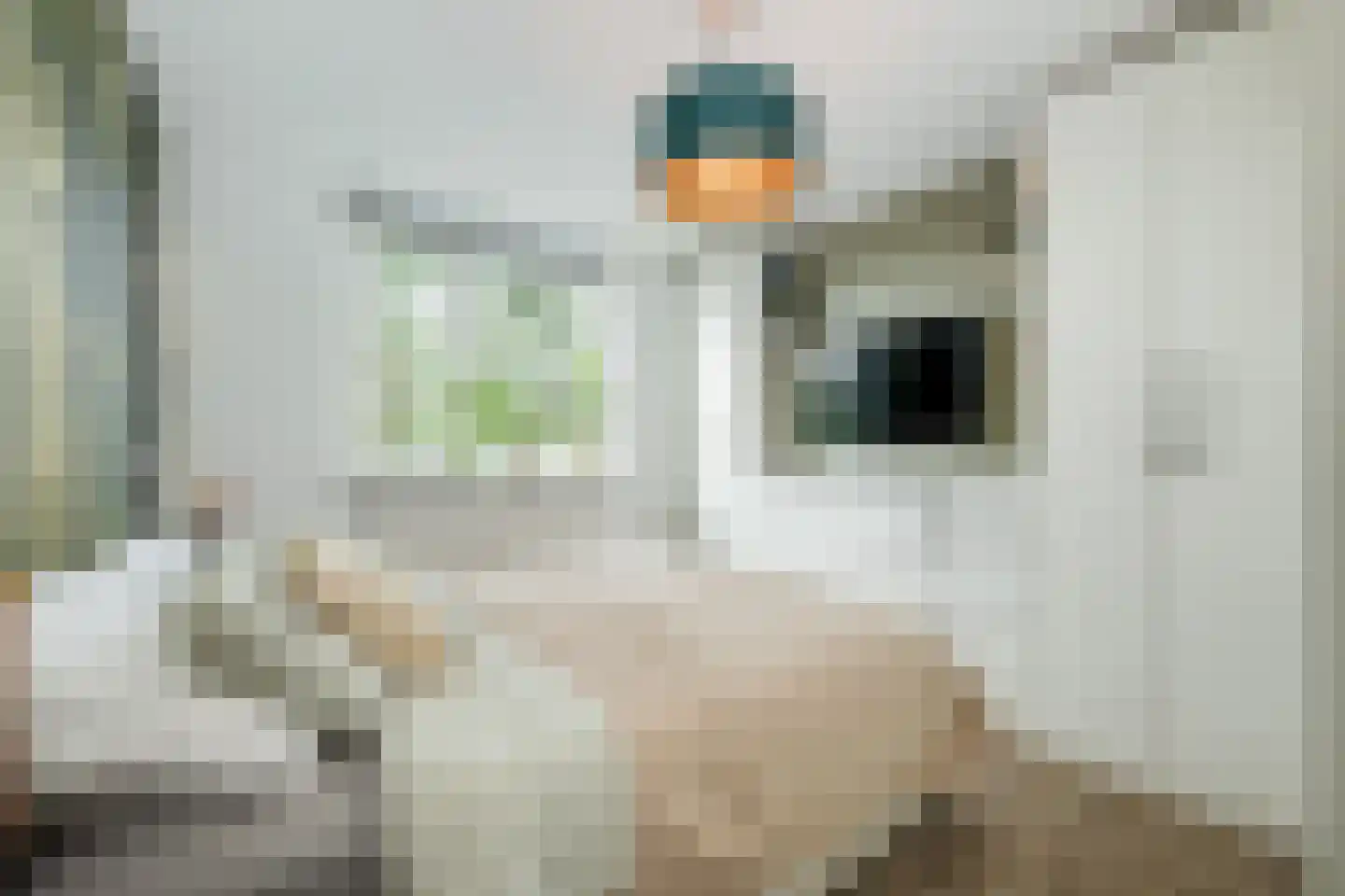 Bertus van Akenlaan 9 Voorschoten thumbnail 22