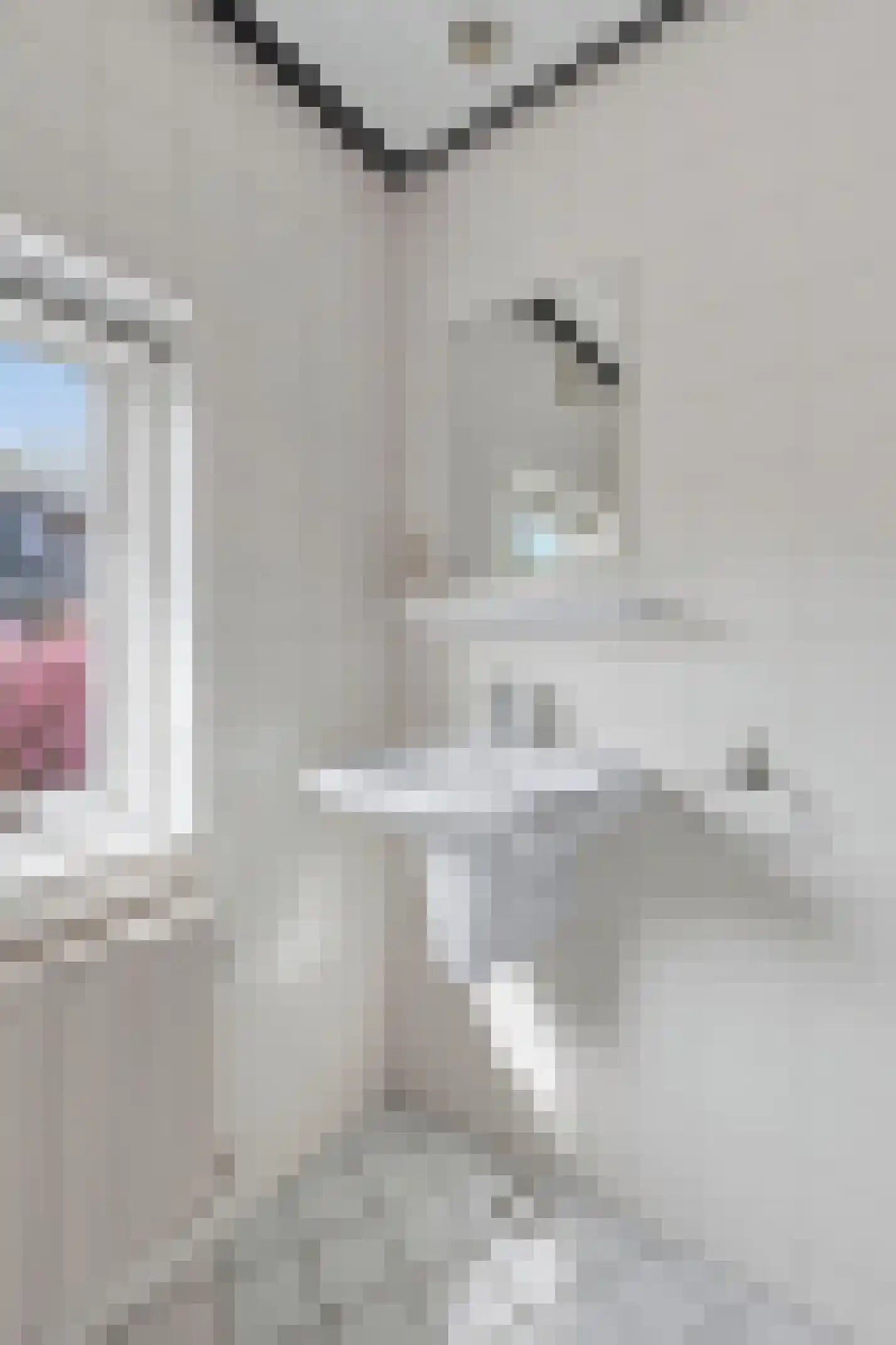 Bertus van Grouwstraat 43 Amsterdam thumbnail 20