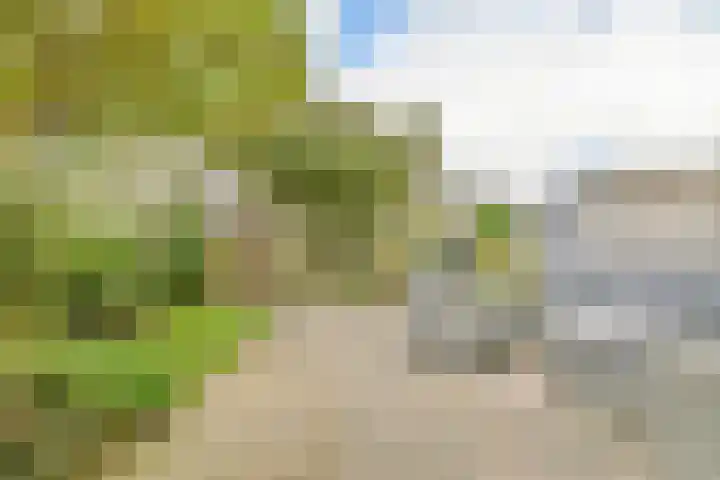 Bervoetsbos 154 Hoofddorp thumbnail 17