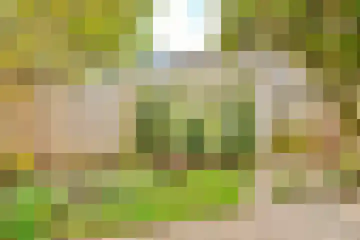 Bervoetsbos 154 Hoofddorp thumbnail 18