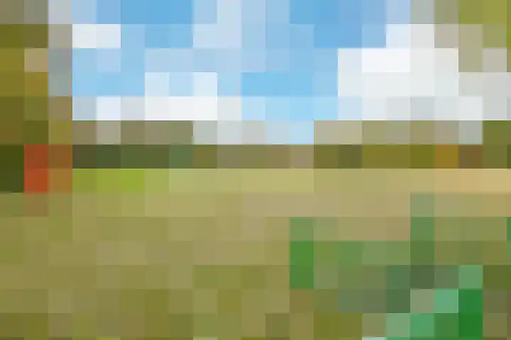 Bervoetsbos 154 Hoofddorp thumbnail 33