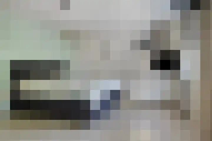 Beryl 14 Eindhoven thumbnail 25