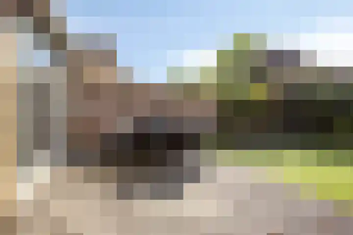Beryl 14 Eindhoven thumbnail 41