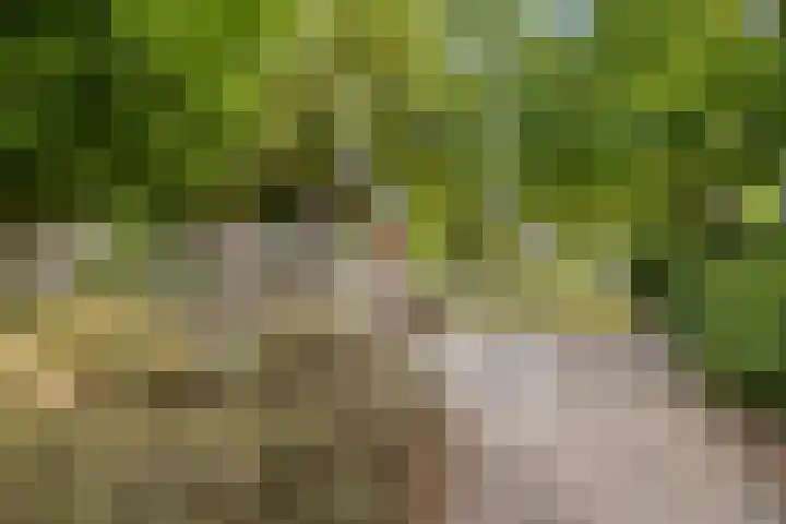 Beryl 14 Eindhoven thumbnail 45