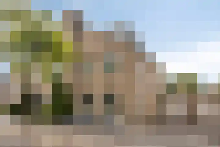 Beryl 14 Eindhoven thumbnail 54
