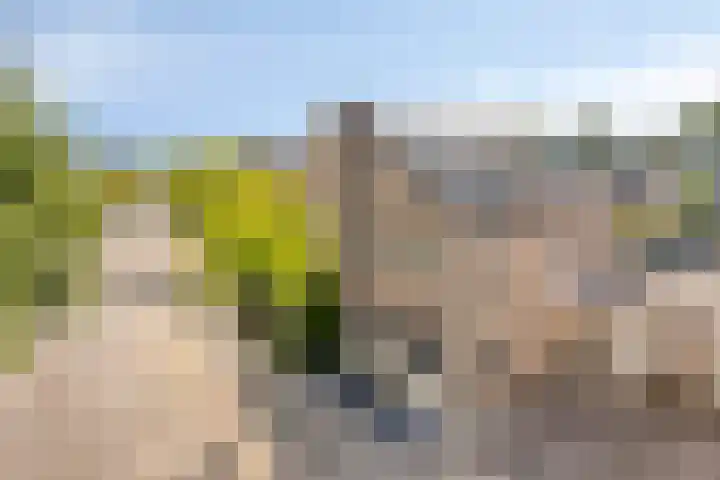 Beryl 14 Eindhoven thumbnail 7