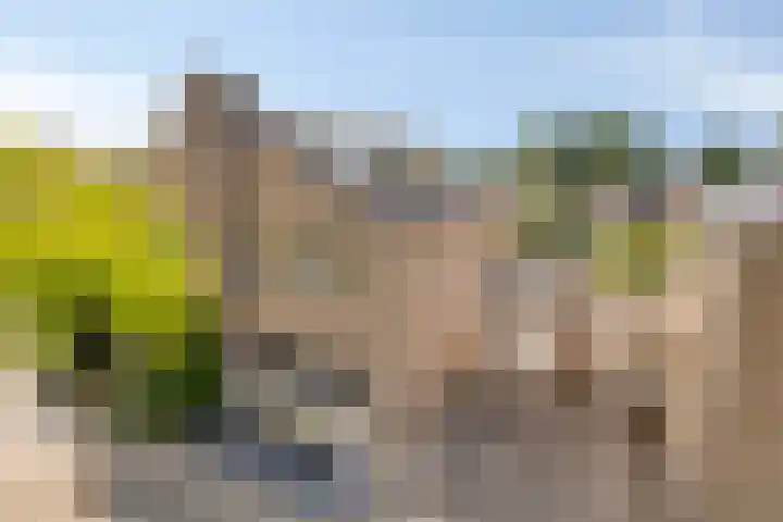 Beryl 14 Eindhoven thumbnail 8