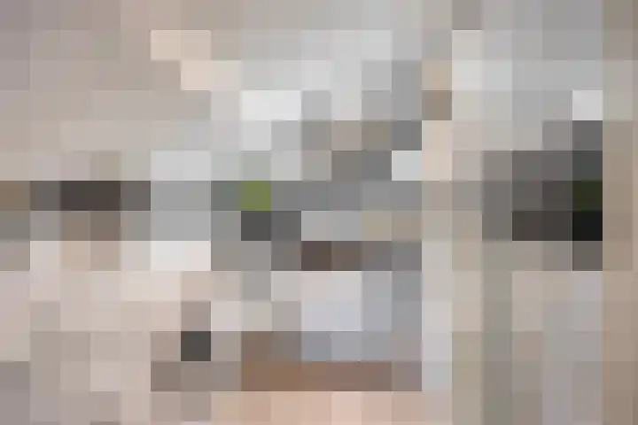 Beryl 2 Heerhugowaard thumbnail 21