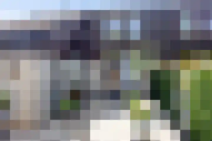 Beryl 2 Heerhugowaard thumbnail 24
