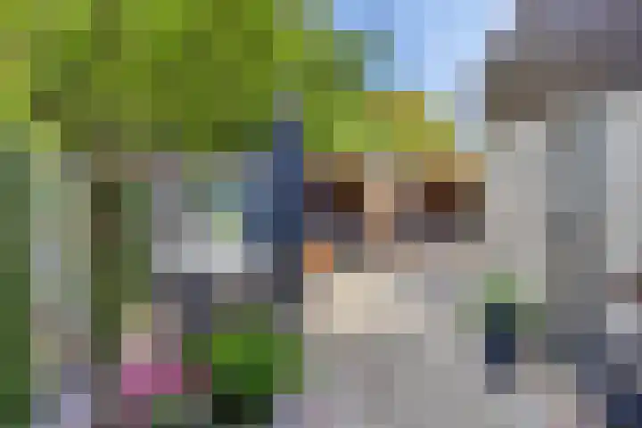 Beryl 2 Heerhugowaard thumbnail 25