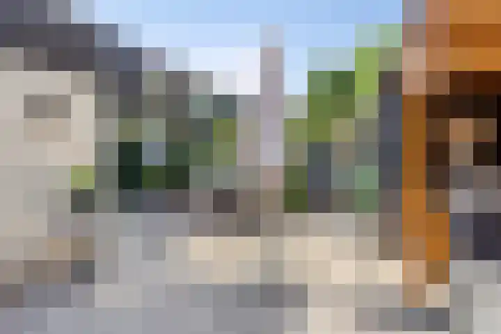 Beryl 2 Heerhugowaard thumbnail 26