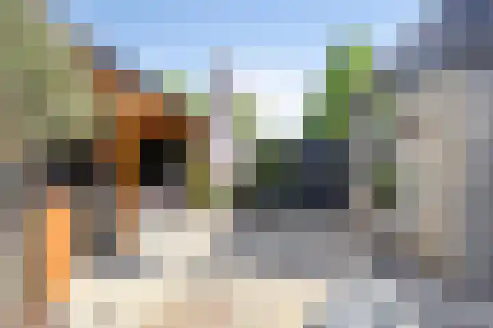 Beryl 2 Heerhugowaard thumbnail 27